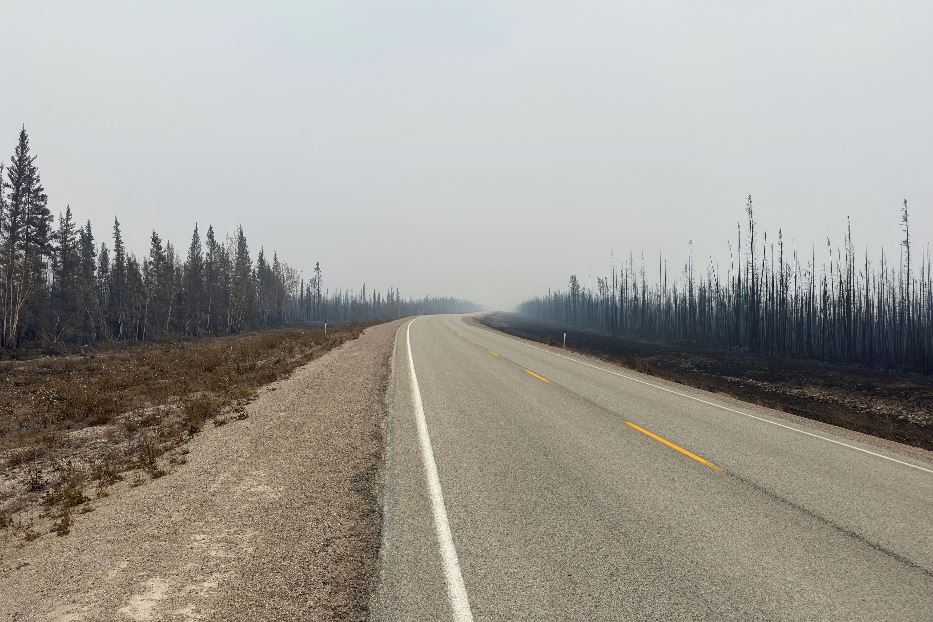 Ecco cosa resta di un folto bosco di conifere, nella zona di Enterprise - Reuters / Social media di Ryan Planche