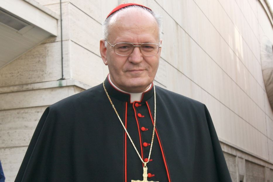 Il cardinale Erdö: un segno di vicinanza