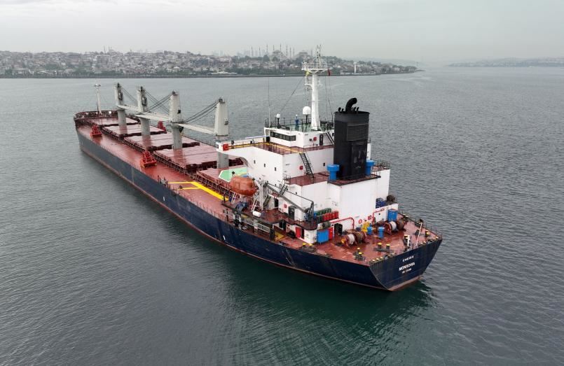 Una nave nigeriana attende di terminare i controlli al porto di Istanbul per portare via il carico di grano