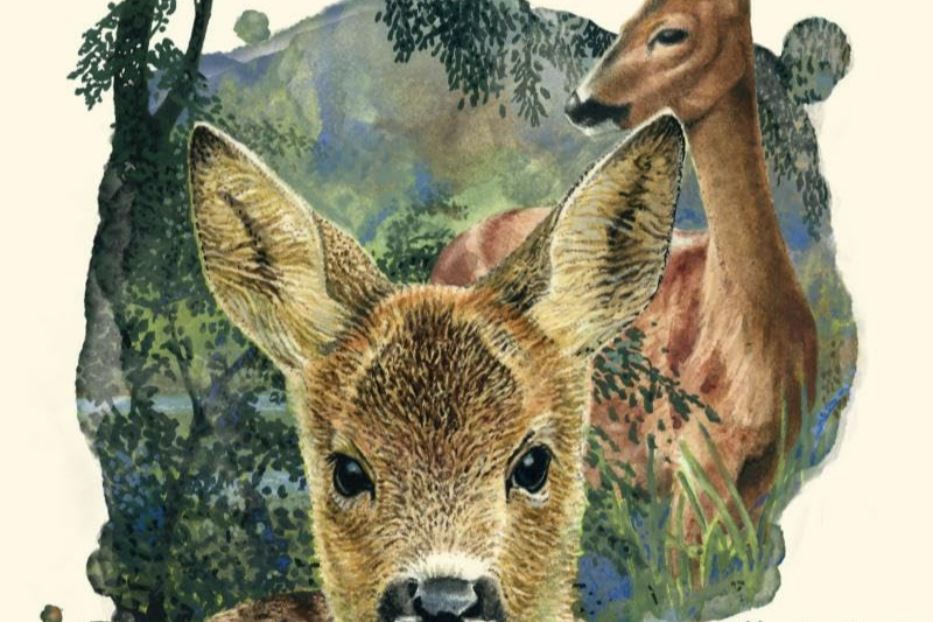 Cento anni di Bambi, che incantò Disney ma non era un libro per bambini