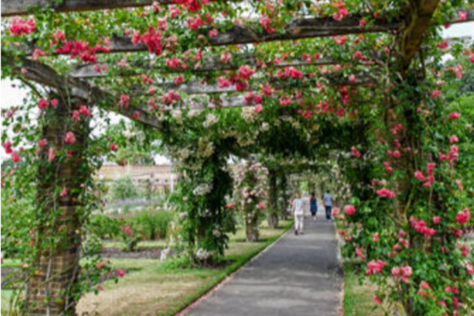 Al Gemelli con Il Giardino dei semplici si punta su terapia del benessere