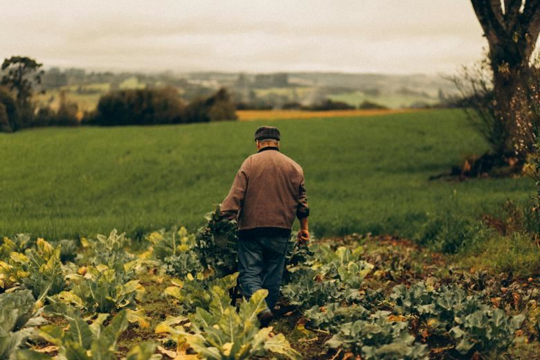 La legge per proteggere i campi bio rischia di mandare in tilt il settore