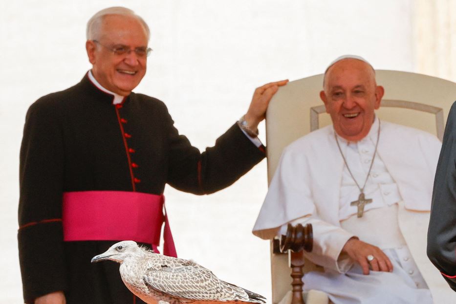 Papa Francesco sorridente durante l'udienza generale