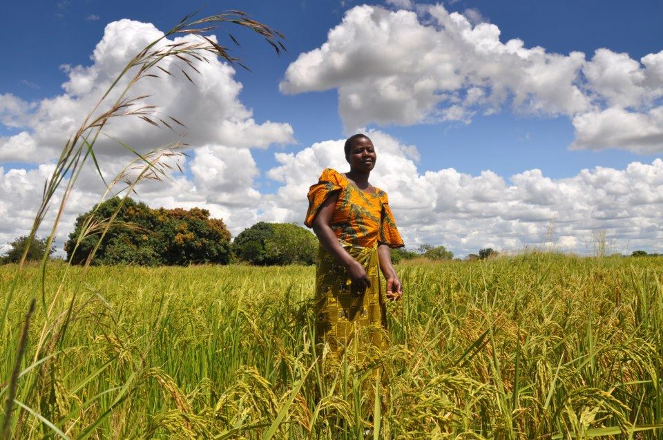 G7 agricoltura, investimenti e diplomazia: l'Africa tra clima e speculazione