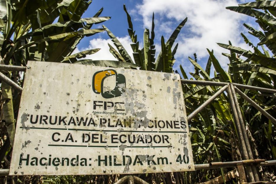 L’azienda giapponese leader mondiale nella produzione agruicola di fibbre di abacà, è attiva in Ecuador dal 1963