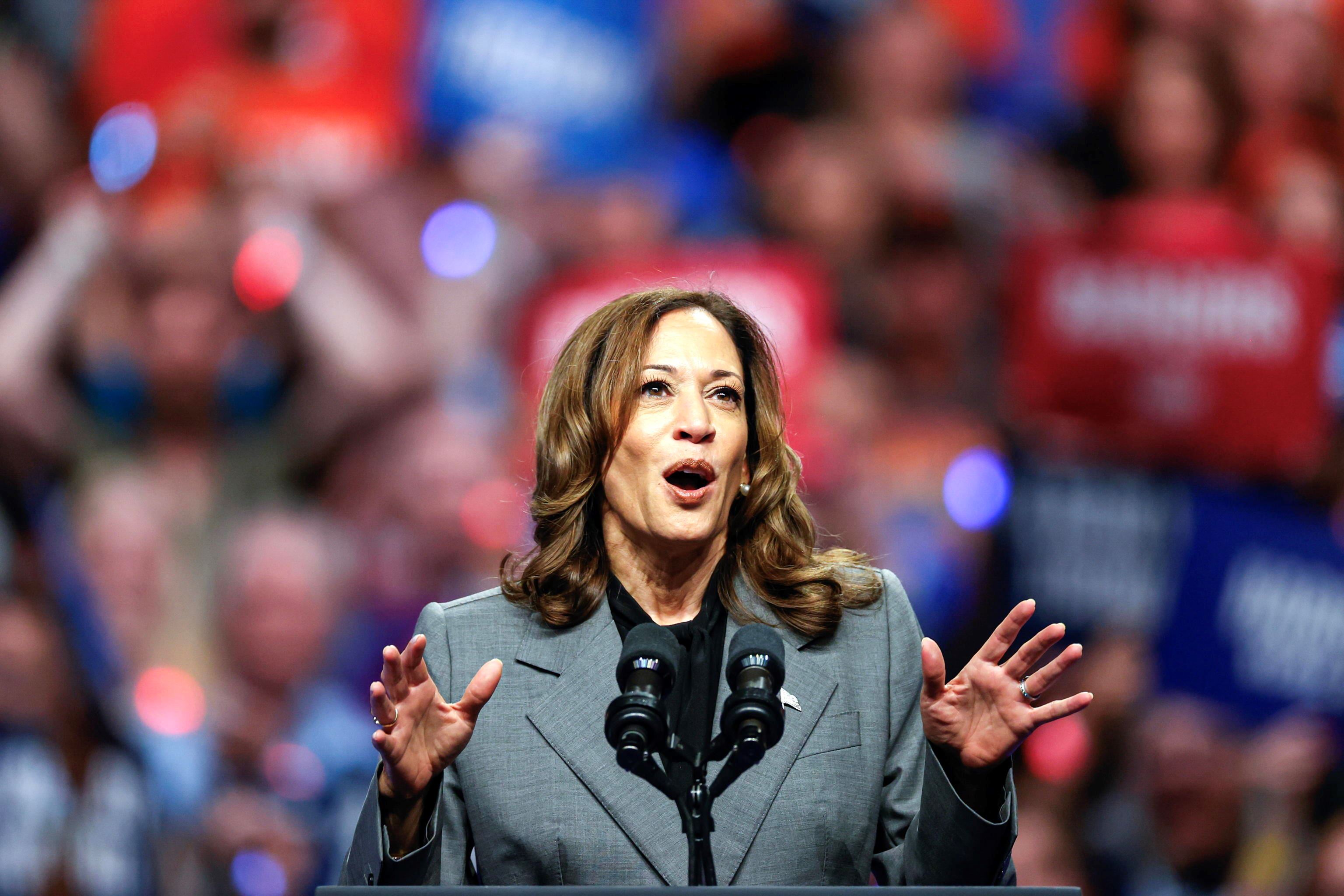 Il comizio di Kamala Harris a Madison in Winsconsin