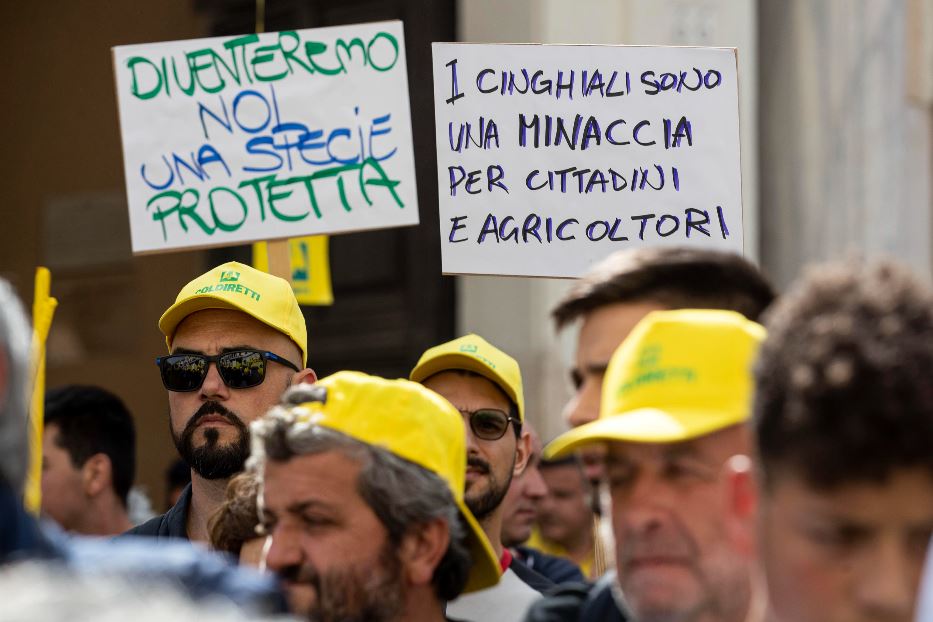 Una manifestazione di agricoltori preoccupati per la proliferazione della peste suina