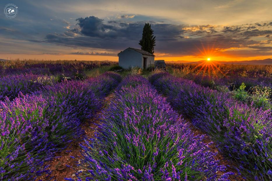 L'alba sul "Plateau de Valensole" - © Stefano Tiozzo