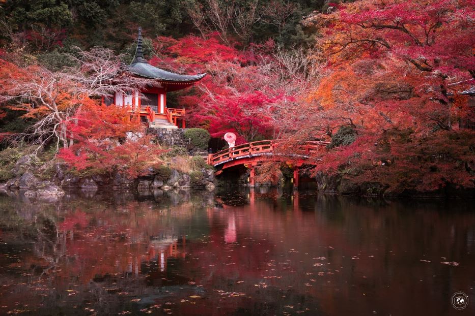 Kyoto e la bellezza infuocata dei Momiji - © Stefano Tiozzo