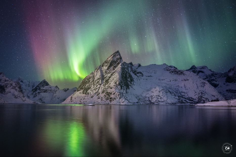 Aurora alle isole Lofoten, Norvegia - © Stefano Tiozzo