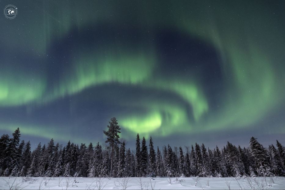 Aurora nelle foreste della Lapponia svedese - © Stefano Tiozzo