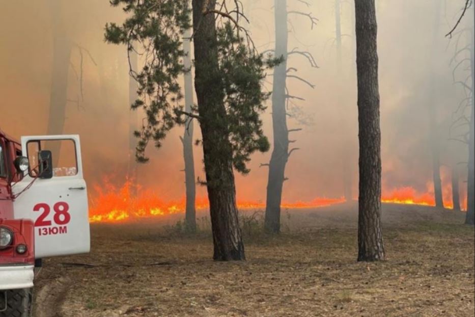 Sarebbero russe le responsabilità dell'incendio della foresta di Kharkiv