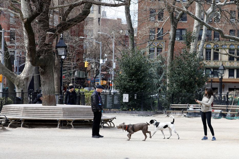 Cani al guinzaglio a Washington Square nel cuore di New York