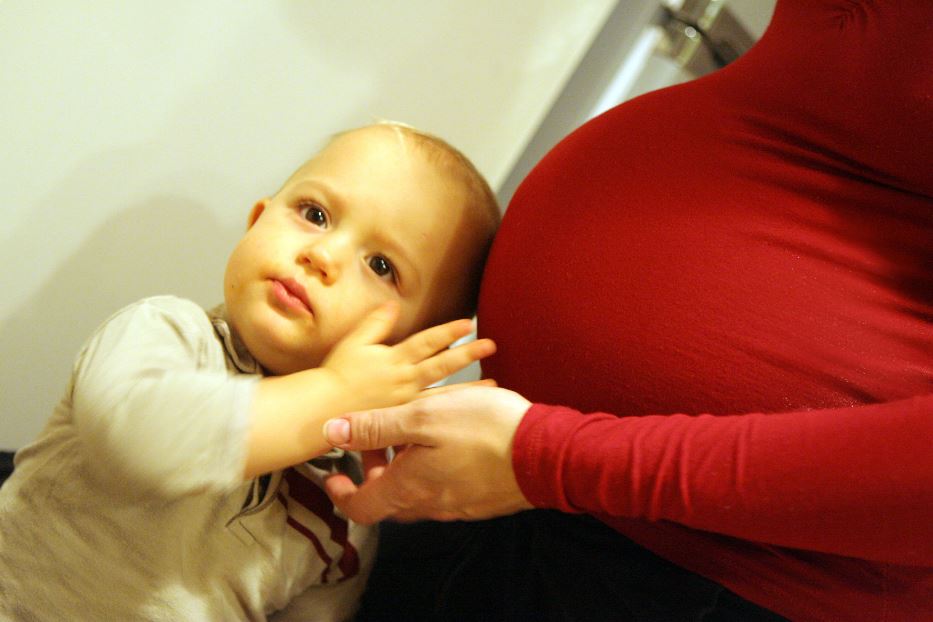 «Embrione e mamma, una cosa sola»