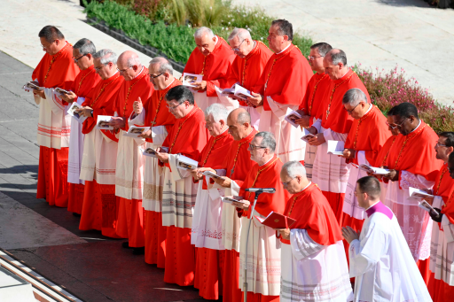 Un gruppo di cardinali al Concistoro del 2023