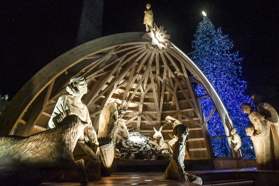 Il presepe e l'albero di Natale in Piazza San Pietro