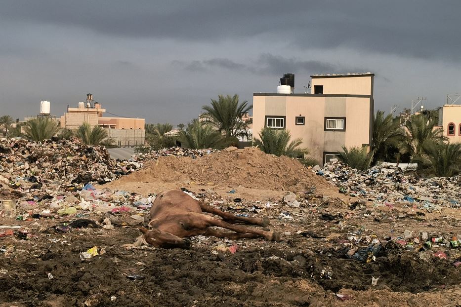 Una discarica improvvisata a cielo aperto vicino alle abitazioni nella zona di sicurezza umanitaria di Deir al-Balah: vi si trovano anche carcasse di animali e rifiuti speciali