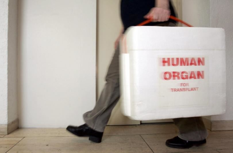 Trapianti di organi e donazioni: Italia da record