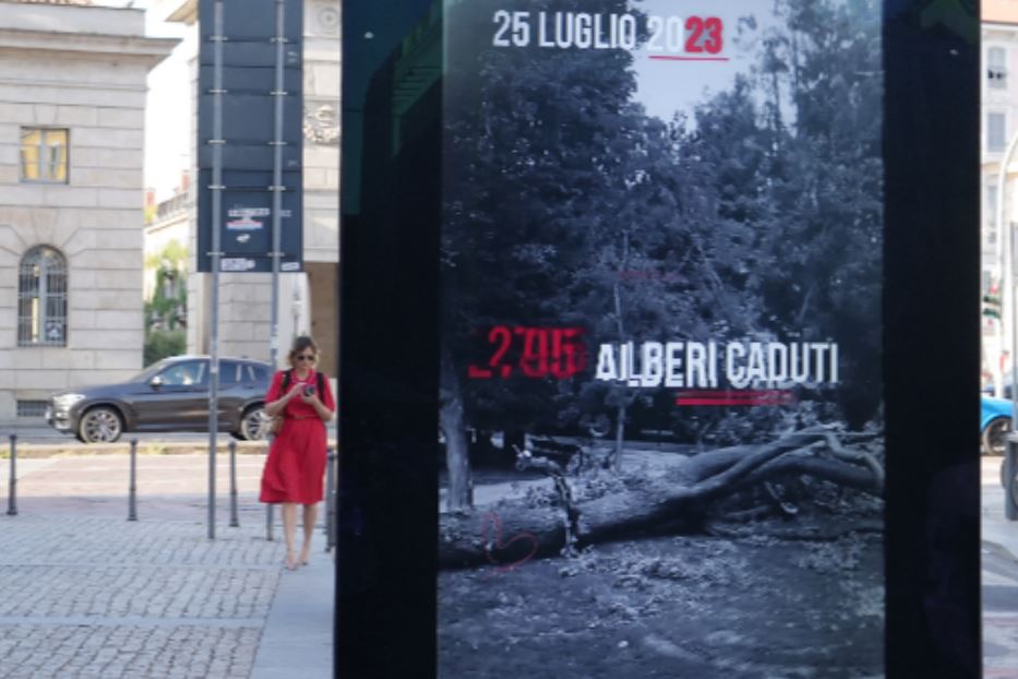 Un anno dopo la tempesta Milano ha “ritrovato” 5mila alberi