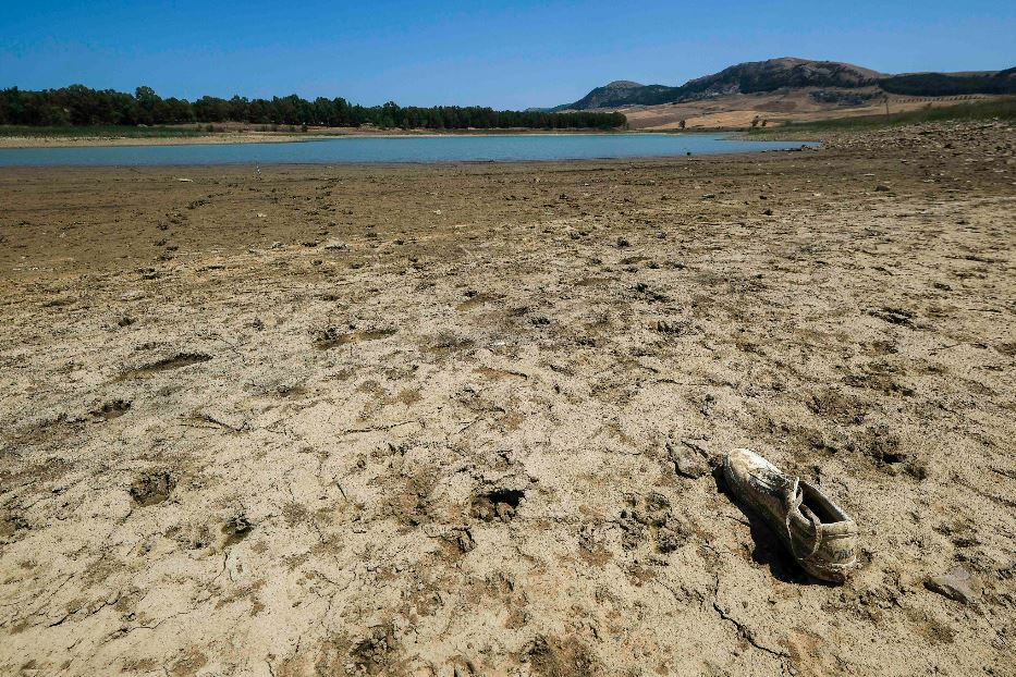 La siccità divora la Sicilia