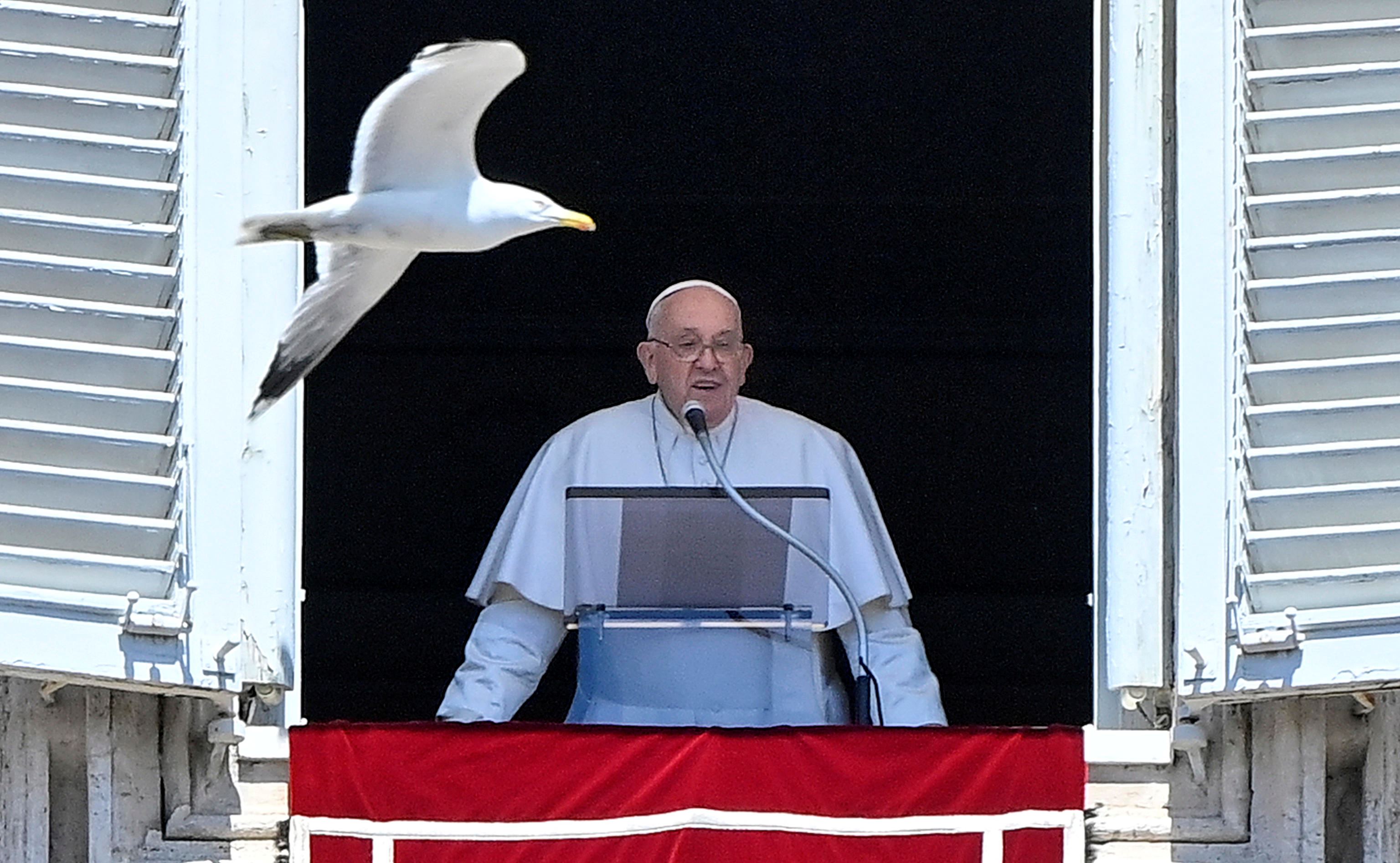 Il Papa durante la recita del Regina Caeli
