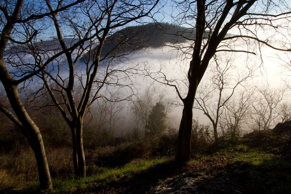 I Colli Euganei entrano nel patrimonio della biosfera Unesco