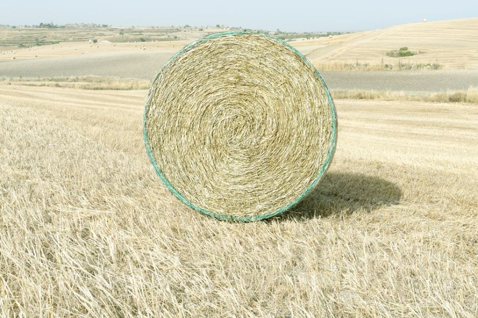 Uno scatto del progetto “Limen, soglie di passaggio” realizzato dal fotografo Mario Cresci per il Ragusa Photo Festival