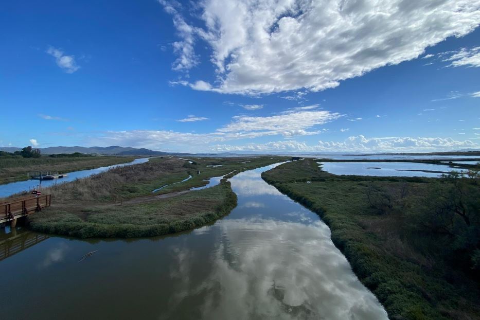 Maremma che green. Viaggio nella Toscana più selvaggia