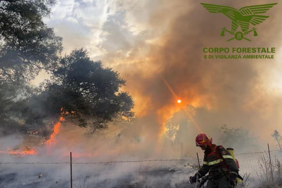 Le fiamme hanno distrutto 800 ettari di bosco nel Nuorese