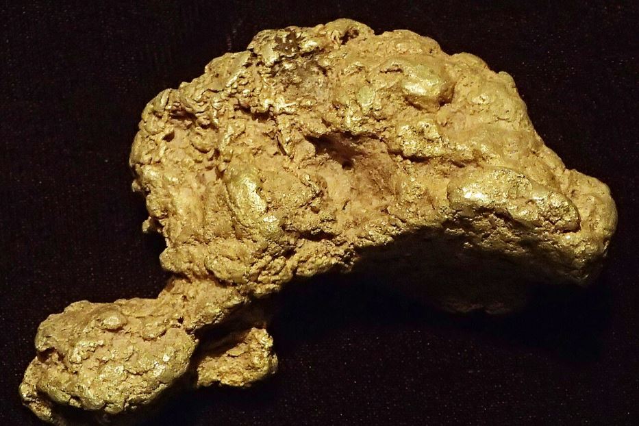 Una pepita d'oro