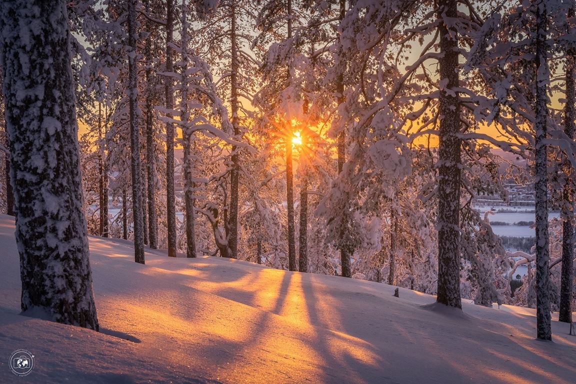 Un tramonto continuo in mezzo a foreste innevate - © Stefano Tiozzo