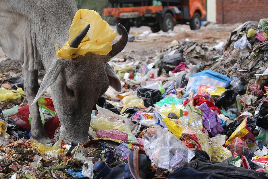 È l'India il Paese che più inquina al mondo per la plastica