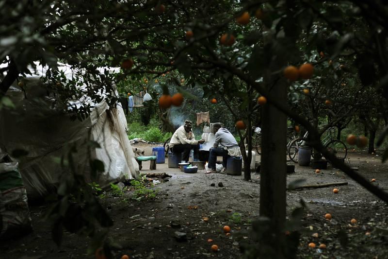 Braccianti in terra di Calabria