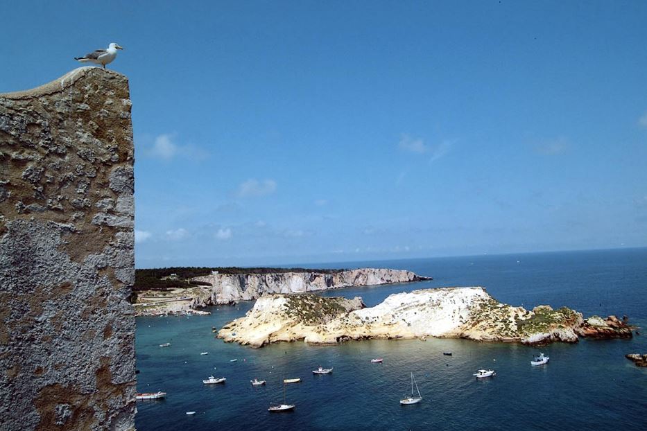 Una veduta del mare delle Tremiti: l'isola di San Nicola