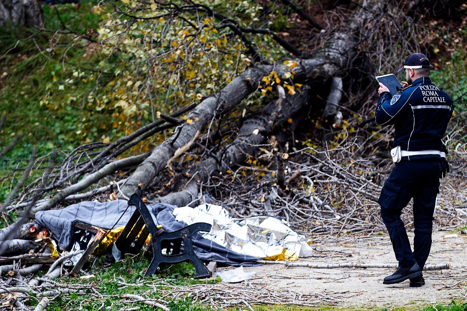 Il vento, l'albero caduto: così mamma Francesca è morta davanti ai suoi bimbi