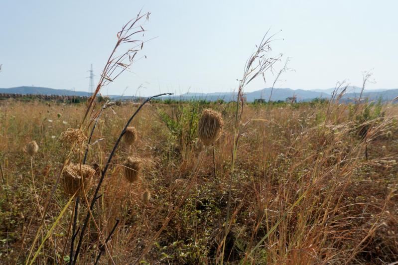 In Puglia acqua con il contagocce dai rubinetti e per i campi agricoli