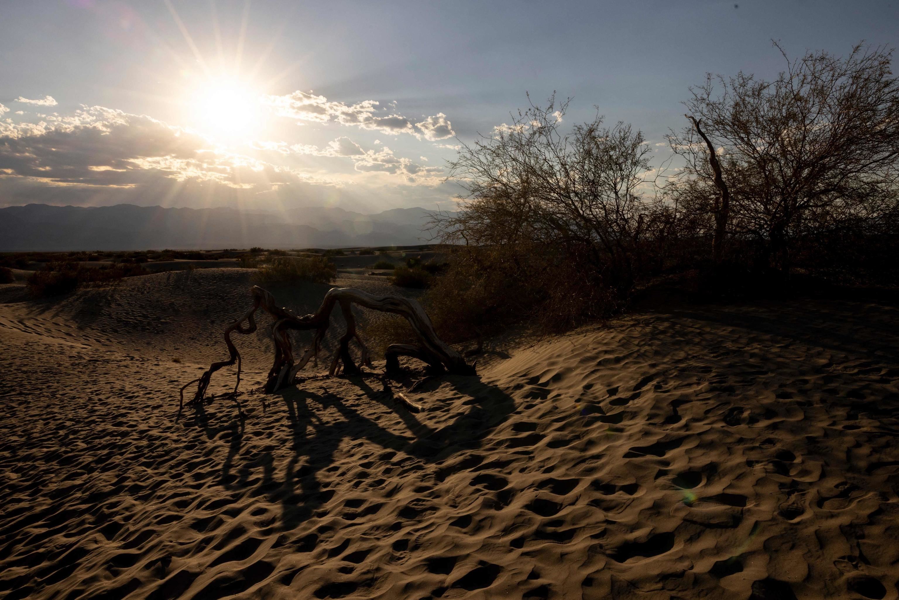 Il 2024 è stato l'anno più caldo di sempre 